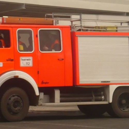 Laub 41/1